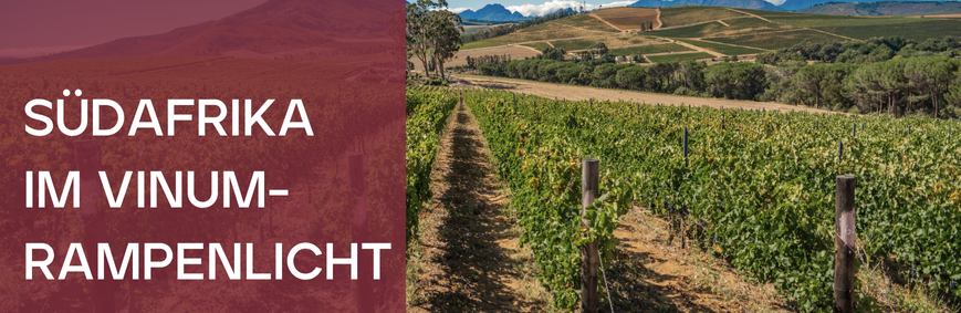 Vinum - Bewertungen Vinum - Bewertungen