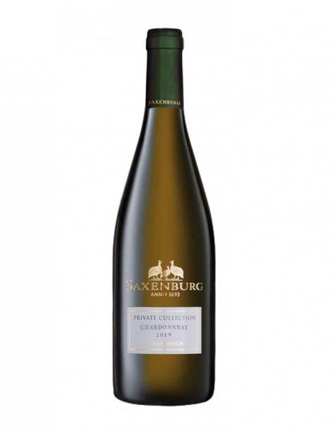 Saxenburg Chardonnay Private Collection - KILLER DEAL - ab 6 Flaschen 19.90 pro Flasche - 2019