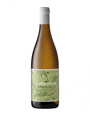 Thistle and Weed Chenin Blanc Springdoring - KILLER DEAL - ab 6 Flaschen 19.90 pro Flasche - 2021