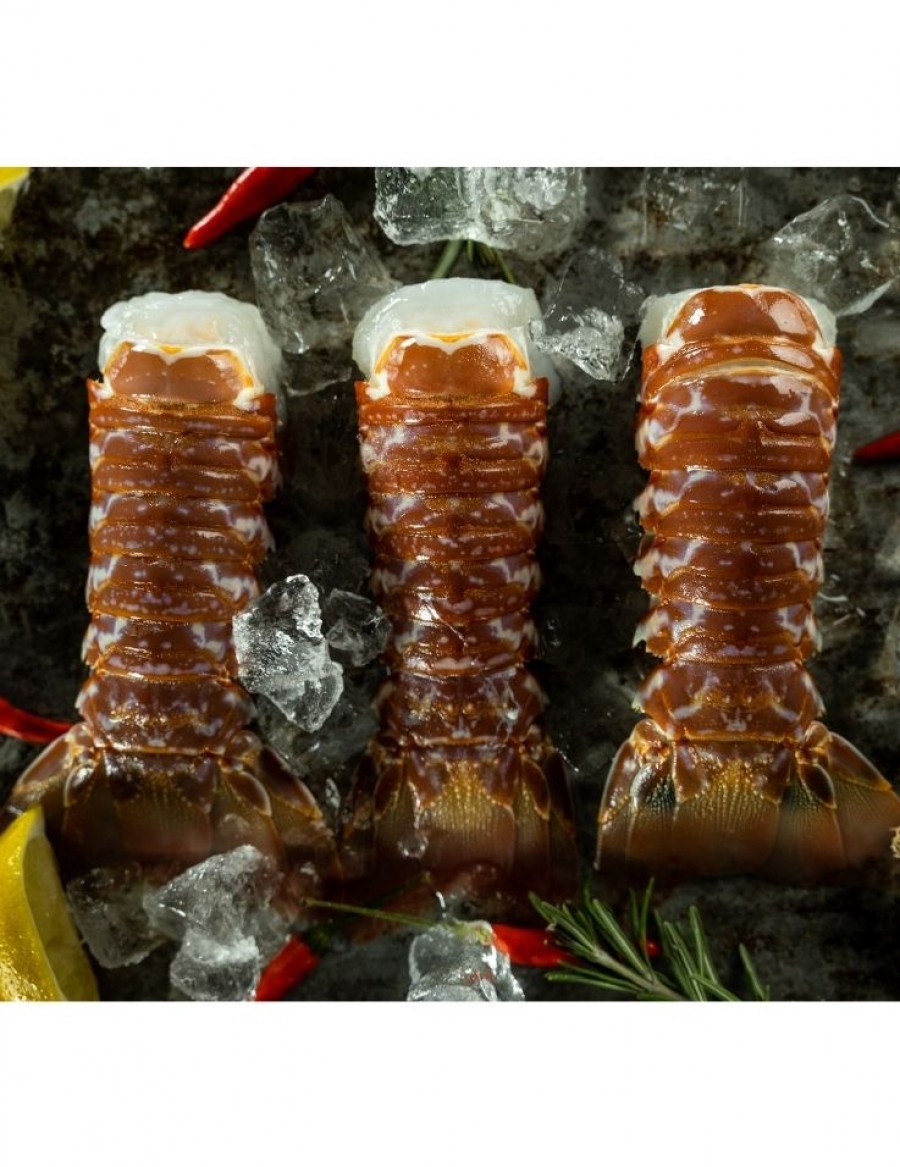 Rock Lobster Schwänze TK Süd Afrika - 60-80g/Stk. - 1kg Box - ohne Kopf mit Schale - kompensiert - Best Before Februar 2023 - KEIN VERSAND NUR ABHOLUNG IN WÄDENSWIL 